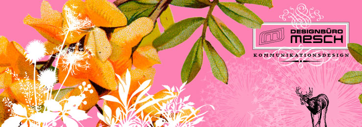 Designbüro Mesch - Kommunikationsdesign Webdesign Grafikdesign Mannheim -